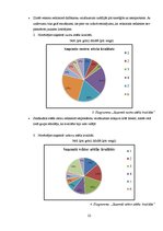 Referāts 'Vektora un rastra grafikas atšķirības', 24.