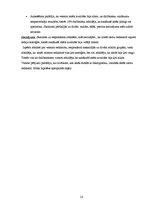 Referāts 'Vektora un rastra grafikas atšķirības', 25.