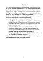 Referāts 'Vektora un rastra grafikas atšķirības', 26.