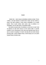 Referāts 'Tiesību funkciju nodrošināšanas problēmas', 3.