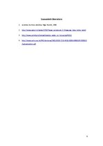 Referāts 'Tiesību funkciju nodrošināšanas problēmas', 9.