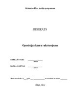 Referāts 'Operācijas kontu raksturojums', 1.