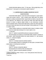 Referāts 'Operācijas kontu raksturojums', 15.