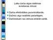 Prezentācija 'Personāla atalgošana', 30.