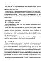 Referāts 'Skandināvijas sāmu kultūra: etnoloģiskais portrets', 9.