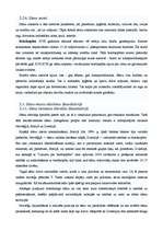 Referāts 'Skandināvijas sāmu kultūra: etnoloģiskais portrets', 12.