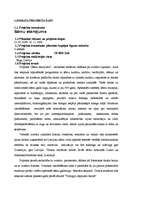 Referāts 'Skandināvijas sāmu kultūra: etnoloģiskais portrets', 16.