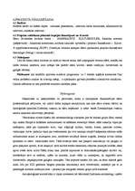 Referāts 'Skandināvijas sāmu kultūra: etnoloģiskais portrets', 22.