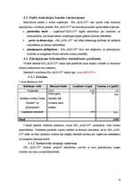 Biznesa plāns 'Biznesa plāns SIA "AUD-DT"', 18.