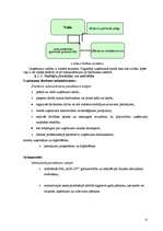 Biznesa plāns 'Biznesa plāns SIA "AUD-DT"', 22.