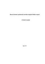 Biznesa plāns 'Jauna tūrisma uzņēmuma izveides iespējas Saldus rajonā', 1.