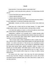 Biznesa plāns 'Jauna tūrisma uzņēmuma izveides iespējas Saldus rajonā', 3.