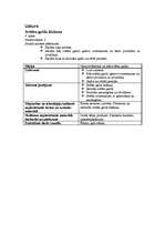 Konspekts 'Mājturības un tehnoloģiju stundu izvērsts konspekts 4. klasei', 5.