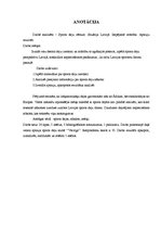 Referāts 'Sporta deju vēsture un perspektīva Latvijā', 2.
