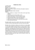 Prakses atskaite 'Pirmsskolas izglītības skolotāja kvalifikācijas prakse', 2.