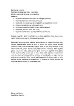 Prakses atskaite 'Pirmsskolas izglītības skolotāja kvalifikācijas prakse', 4.