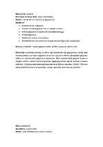 Prakses atskaite 'Pirmsskolas izglītības skolotāja kvalifikācijas prakse', 5.