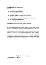 Prakses atskaite 'Pirmsskolas izglītības skolotāja kvalifikācijas prakse', 6.