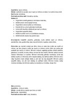 Prakses atskaite 'Pirmsskolas izglītības skolotāja kvalifikācijas prakse', 7.