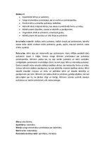 Prakses atskaite 'Pirmsskolas izglītības skolotāja kvalifikācijas prakse', 9.