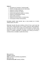 Prakses atskaite 'Pirmsskolas izglītības skolotāja kvalifikācijas prakse', 10.