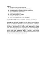 Prakses atskaite 'Pirmsskolas izglītības skolotāja kvalifikācijas prakse', 11.