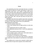 Referāts 'Izmaksu plānošana', 2.