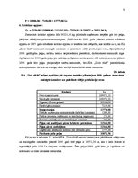 Referāts 'Izmaksu plānošana', 30.