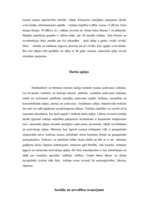 Referāts 'Vides troksnis', 6.