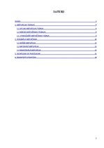 Referāts 'Motivēšanas metodes uzņēmumā', 2.