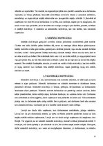 Referāts 'Motivēšanas metodes uzņēmumā', 11.