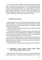 Referāts 'Brīvības iela - Ogres pilsētas centrālā ass', 6.