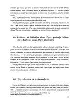 Referāts 'Brīvības iela - Ogres pilsētas centrālā ass', 15.