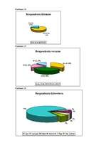Referāts 'Brīvības iela - Ogres pilsētas centrālā ass', 30.