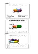 Referāts 'Brīvības iela - Ogres pilsētas centrālā ass', 32.