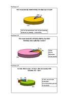 Referāts 'Brīvības iela - Ogres pilsētas centrālā ass', 33.
