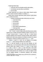 Referāts 'Policijas darbinieka tiesības lietot fizisko spēku un speciālos līdzekļus', 16.