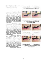 Konspekts 'Pirmais vingrinājumu kopums fitnesā mājas apstākļiem vai sporta zālē sievietēm', 6.