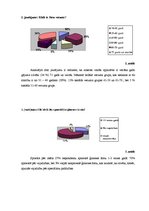 Referāts 'Arteriālā hipertensija un tās riska faktori', 17.
