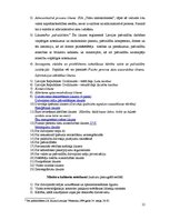 Prakses atskaite 'Prakses atskaite SIA "TN"', 12.