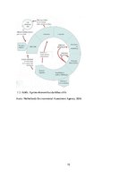 Referāts 'Aprites ekonomika Latvijā', 15.