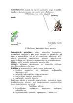 Konspekts 'Mārketinga loma muzeja attīstībā', 4.