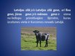 Prezentācija 'Latvijas zilā govs', 2.