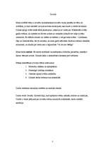 Referāts 'Latviešu svētki', 2.