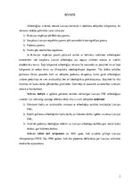 Referāts 'Arheoloģijas zinātnes galvenās iezīmes Latvijas PSR', 3.