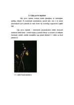 Referāts 'Zemie jeb zāļu purvi', 5.