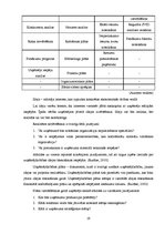 Diplomdarbs 'Uzņēmējdarbības perspektīvas Rēzeknes novadā', 19.