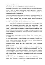 Diplomdarbs 'Uzņēmējdarbības perspektīvas Rēzeknes novadā', 23.