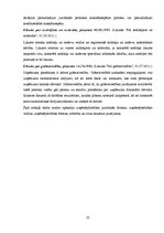 Diplomdarbs 'Uzņēmējdarbības perspektīvas Rēzeknes novadā', 25.