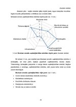 Diplomdarbs 'Uzņēmējdarbības perspektīvas Rēzeknes novadā', 46.